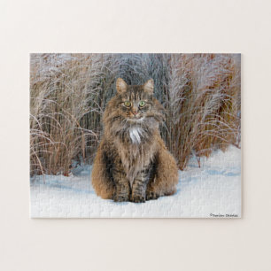 "Querida Prudencia", rompecabezas