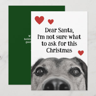 Querido Santa Perrito Lindo Navidad Verde Divertid