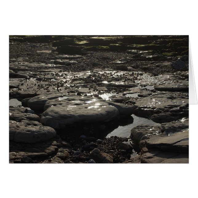 Quicksilver (Anverso (Horizontal))