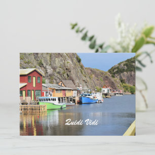 Quidi Vidi, Terranova