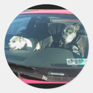 ¿Quién dejó salir a los perros? Pegatinas