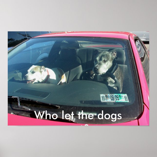 ¿Quién dejó salir a los perros? Póster (Frente)