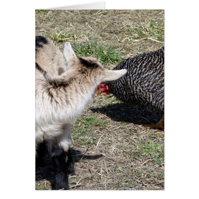 ¿Quién Eres? (Frente)