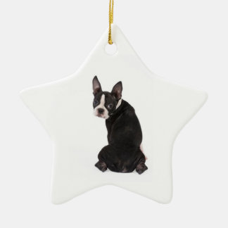 Quién es el ornamento de la estrella de Boston