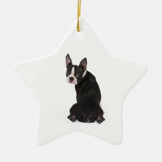 Quién es el ornamento de la estrella de Boston (Frente)