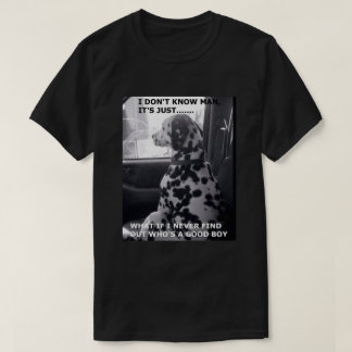 ¿Quién es un buen chico? Camiseta