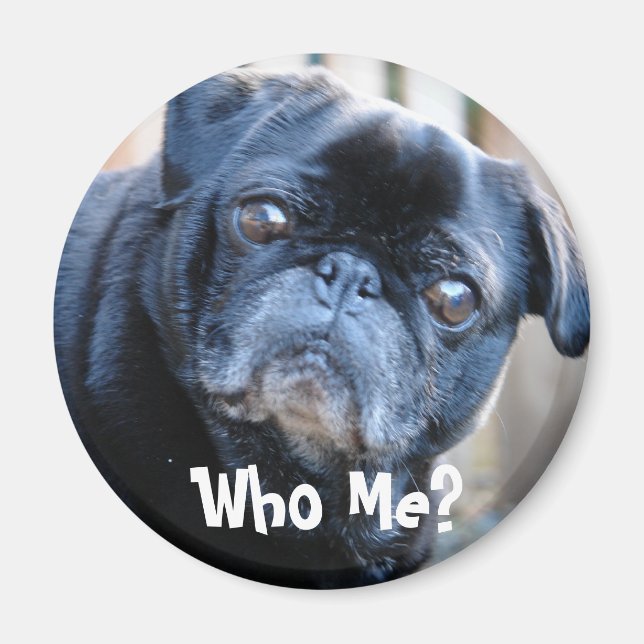 ¿Quién? Imán (Frente)