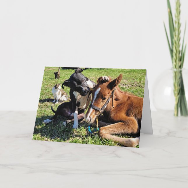 QUIÉN QUIERO VER PARA LA TARJETA DE FESTIVIDAD "NA (Anverso)