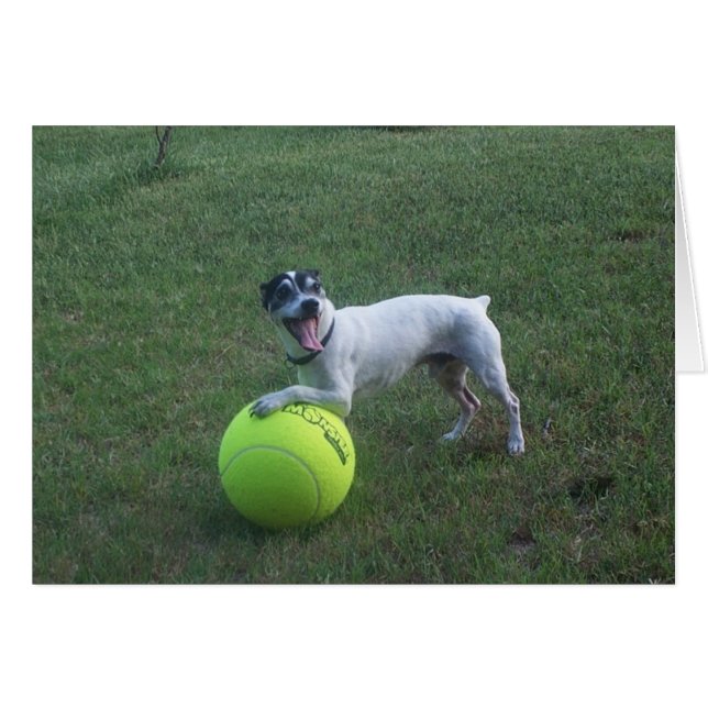 ¿Quiera jugar? (Anverso (Horizontal))