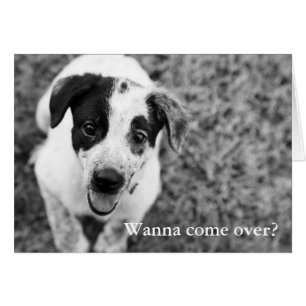 ¿Quiera venir de visita?