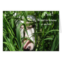 Quiere saber un secreto