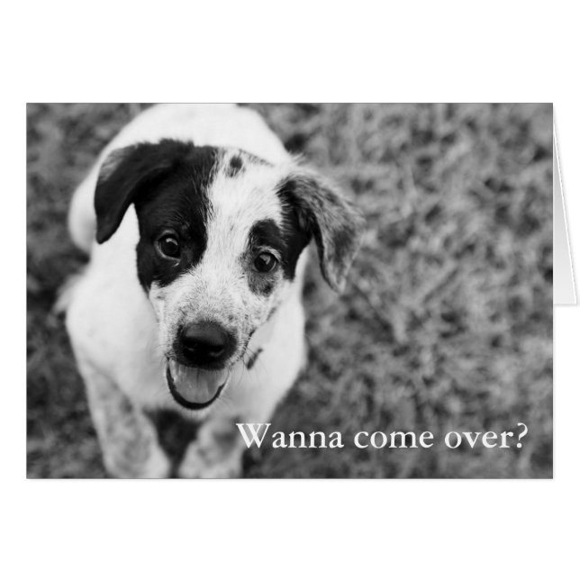 ¿Quieres venir? (Anverso (Horizontal))