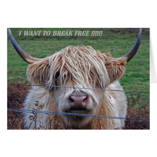 Quiero liberarme (Anverso (Horizontal))