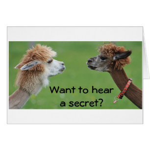 QUIERO SABER UN "SECRETO"- ME ENCANTA ***TE***