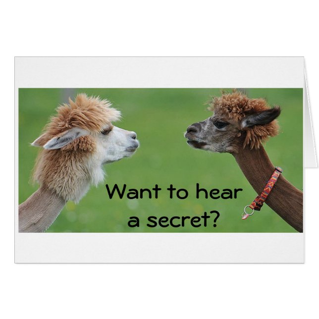 QUIERO SABER UN "SECRETO"- ME ENCANTA ***TE*** (Anverso (Horizontal))