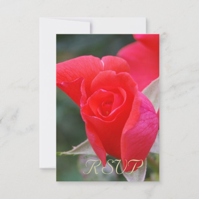 Quinceanera RSVP Red Rose (Anverso)