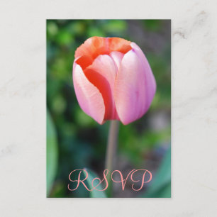 Quinceanera RSVP Tulipán Rosado 15º cumpleaños