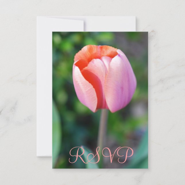 Quinceanera RSVP Tulipán Rosado 15º cumpleaños (Anverso)