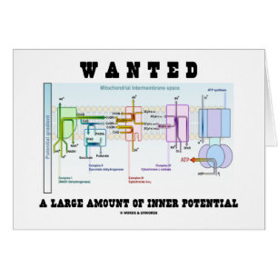 Quiso una gran cantidad de potencial interno