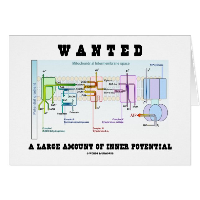 Quiso una gran cantidad de potencial interno (Anverso (Horizontal))