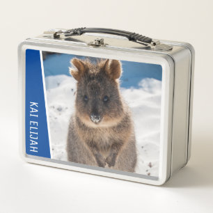 Quokka Animal Cute en la Playa Australia Azul