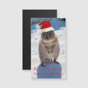 Quokka Australia Feliz Navidad