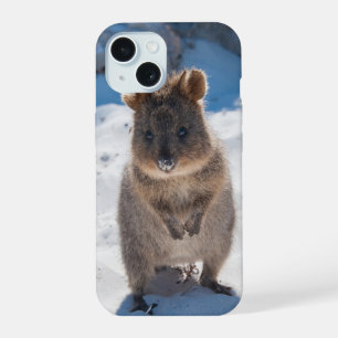 Quokka de Australia en la Playa