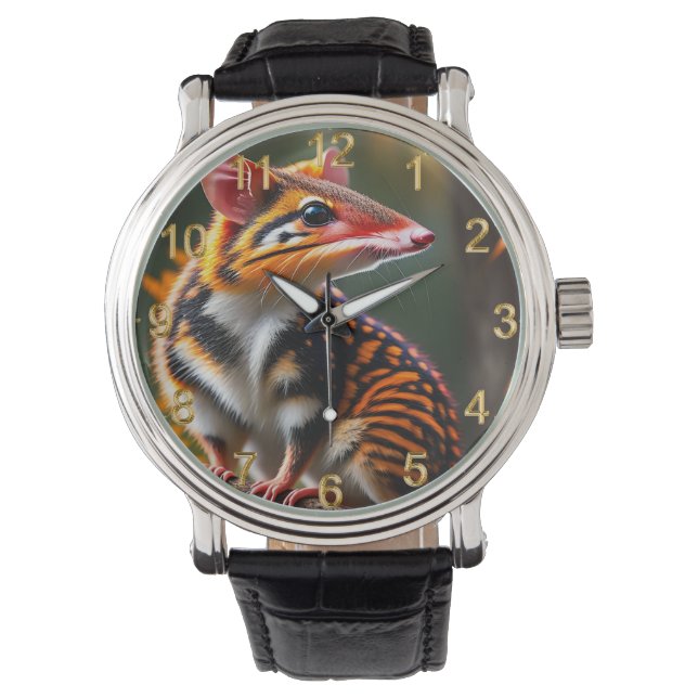 Quoll australiano, reloj de pulsera (Anverso)