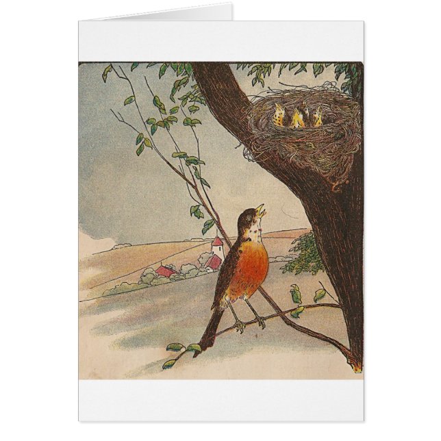 R es para Robin (Frente)