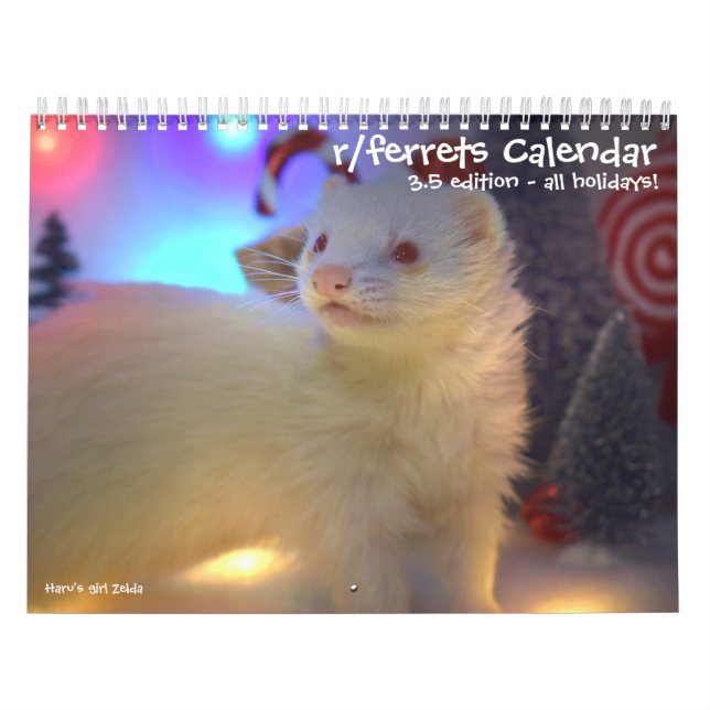 r/ferrets Calendario 3.5 Edición (2025) Todos los  (Tapa)