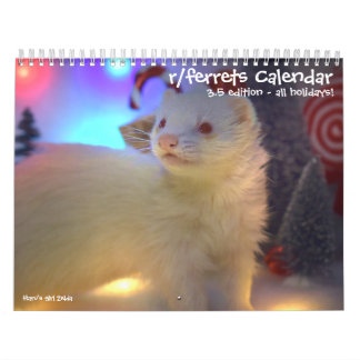 r/ferrets Calendario 3.5 Edición (2025) Todos los