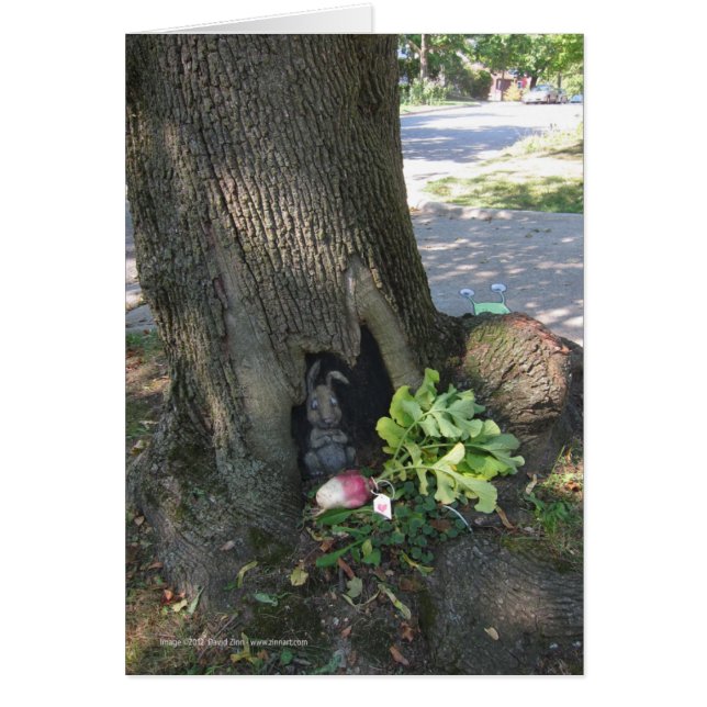 Rábano Gifting (Frente)