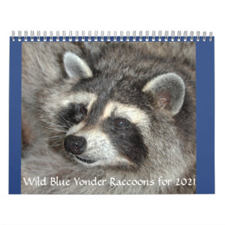 Racconones de yonder azul salvaje del calendario 2