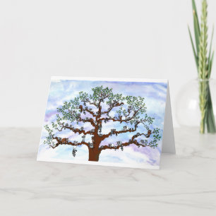 Racconones en un árbol