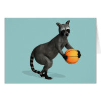 Raccoon