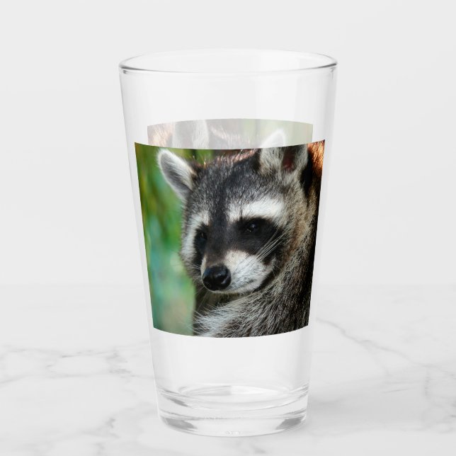 Raccoon 001 (Anverso)