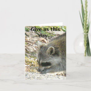 Raccoon Danos este día... Tarjeta pequeña