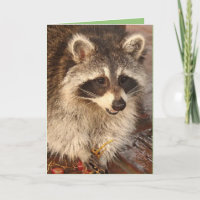 Raccoon Kit con tarjeta de nota en blanco de uvas