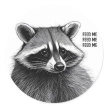 Raccoon Pegatina