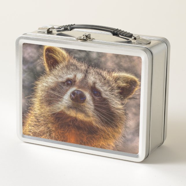 Raccoon pintado (Anverso)