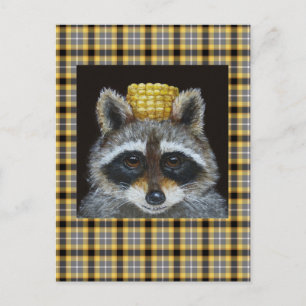Raccoon sobre la postal de plaid