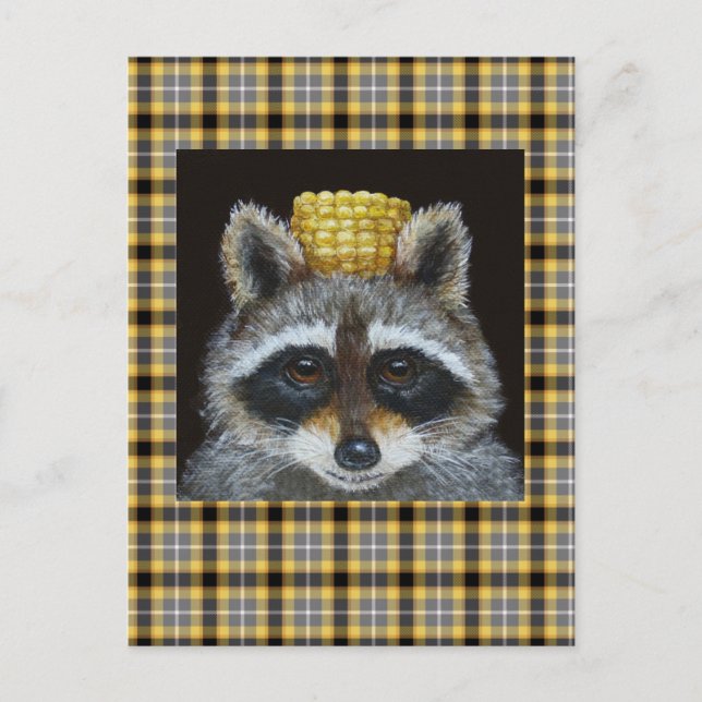 Raccoon sobre la postal de plaid (Anverso)