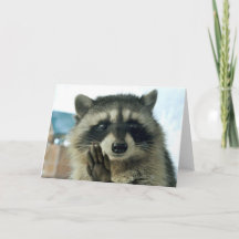 Raccoon - sólo para saludar - tarjeta de saludo