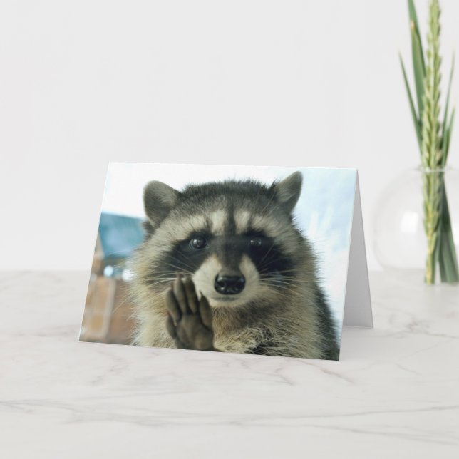 Raccoon - sólo para saludar - tarjeta de saludo (Anverso)
