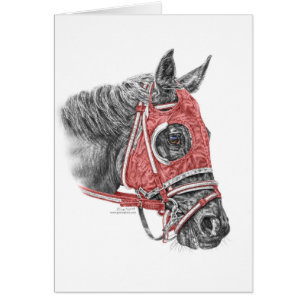 Race Horse Portrait Silys