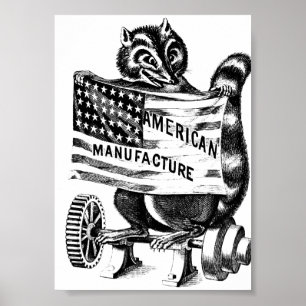 Racoon Americana Ilustracion de Arte Político