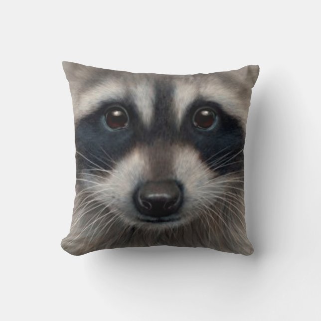 Racoon del mascota de la almohada (Anverso)