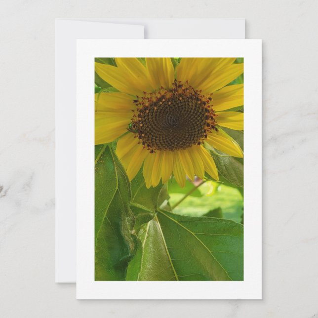 Radiancia de girasol: Invitación Personalizado (Anverso)