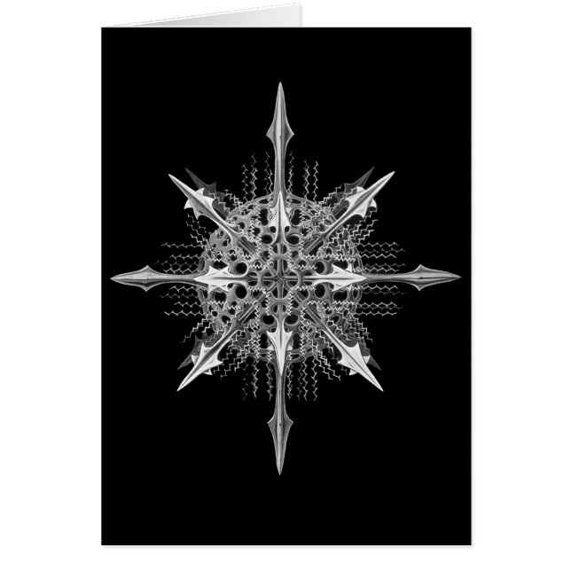 Radiolarians (Frente)