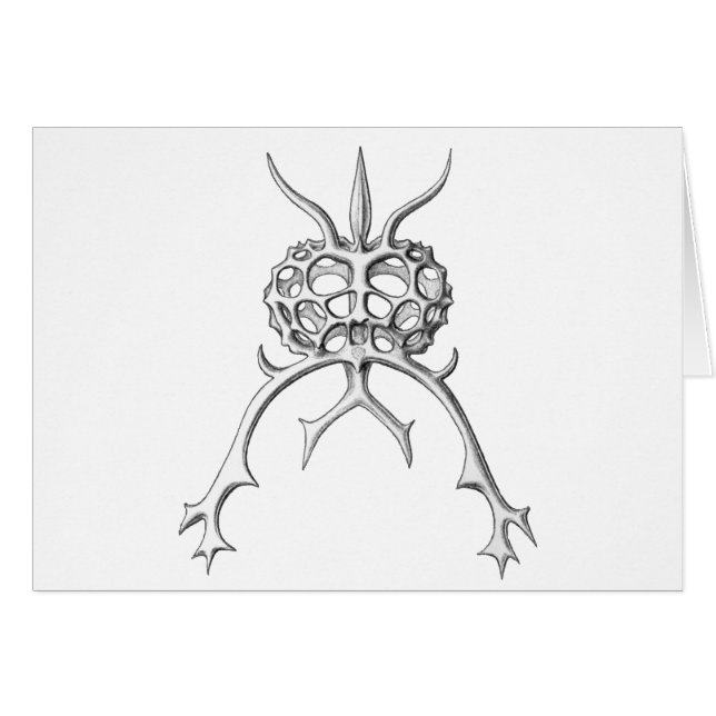 Radiolario (Anverso (Horizontal))